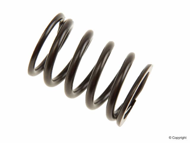 Valve Spring for all Waterboxer Vanagon (large)