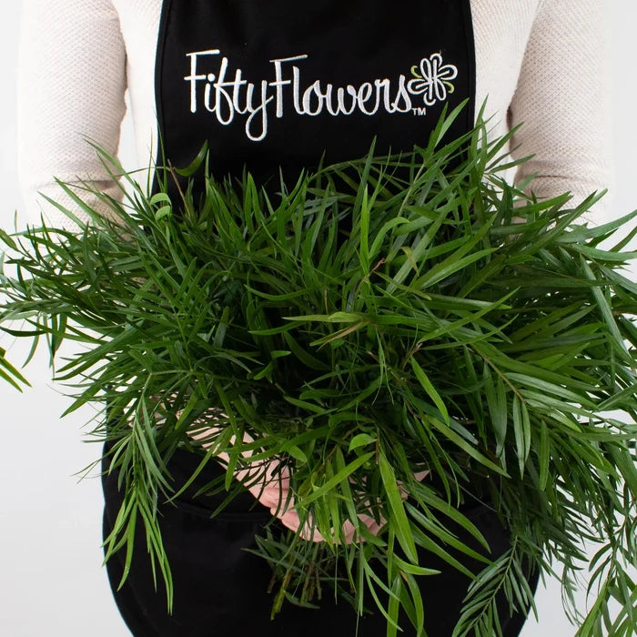 Weeping Podocarpus Greenery Bunch in Hand