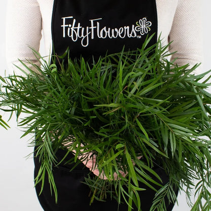 Weeping Podocarpus Greenery Bunch in Hand