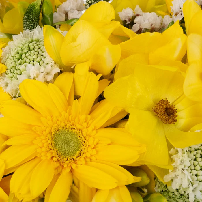 Yellow And White Sunshine Flower Bouquet Stem - Image